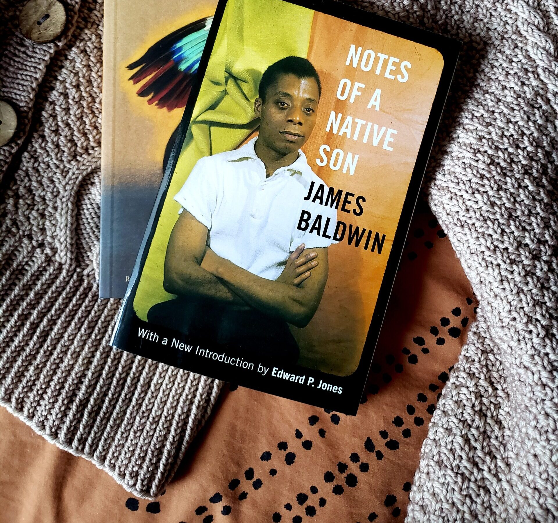 141: Notes of a Native Son by James Baldwin