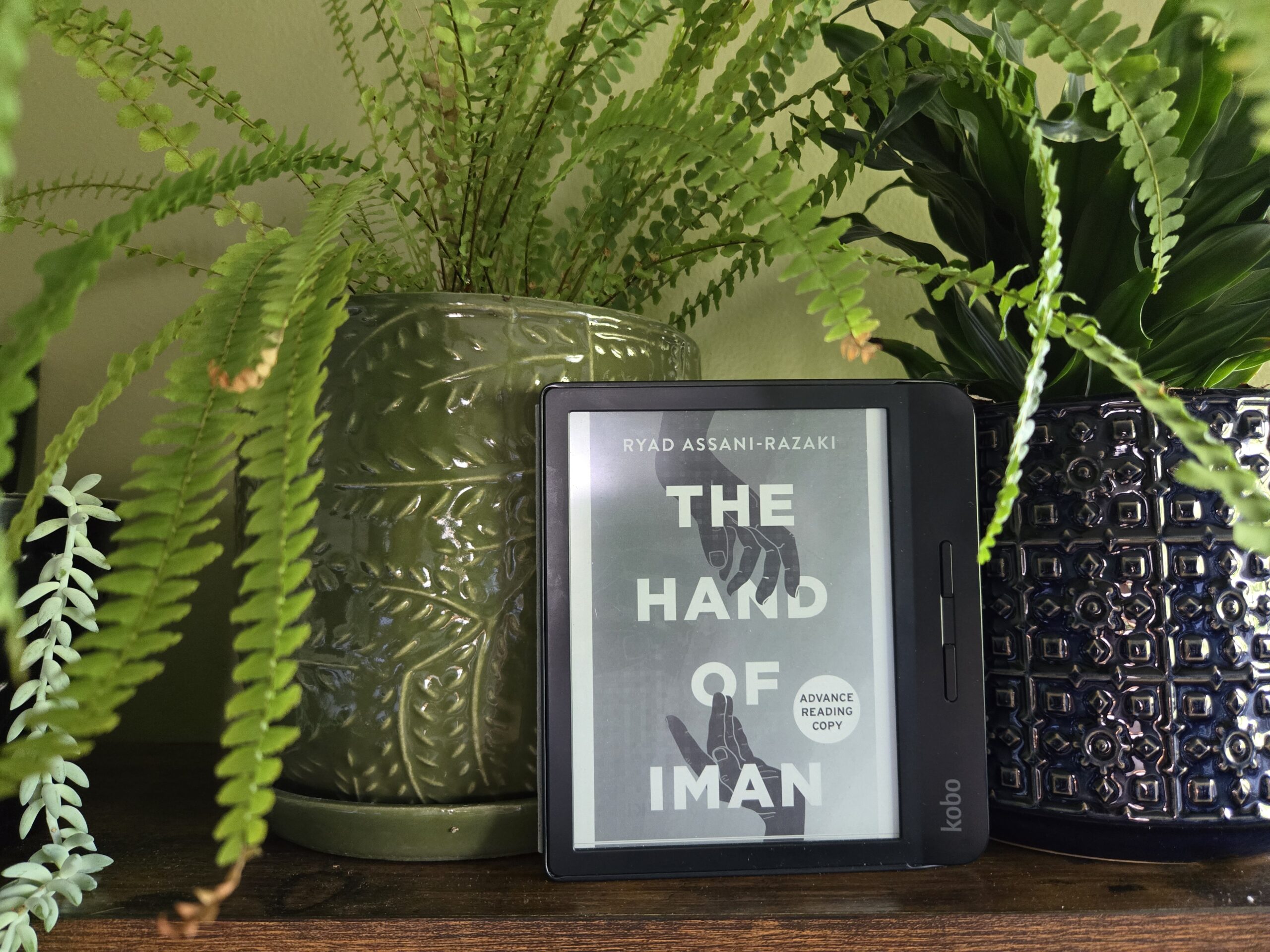 179: The Hand of Iman by Ryad Assani-Razaki