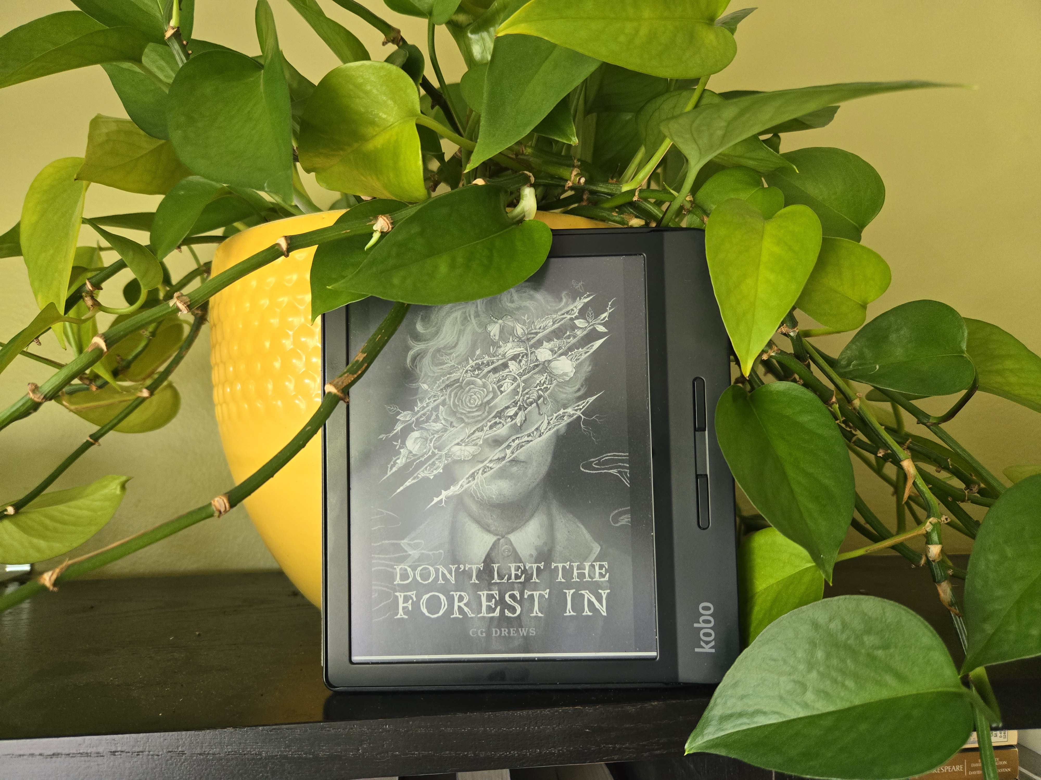 171: Don’t Let The Forest In by C.G. Drews