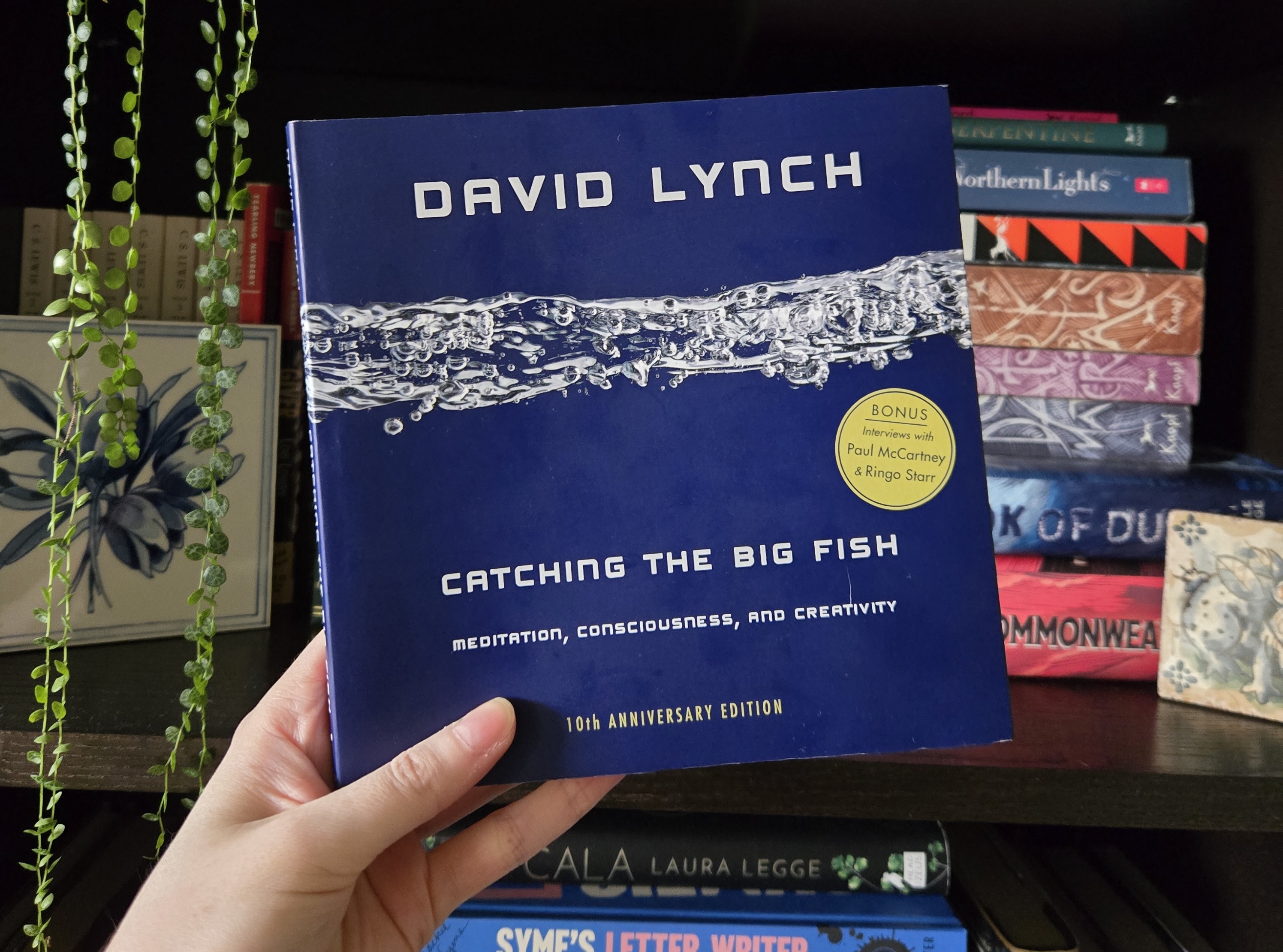 186: Catching the Big Fish by David Lynch