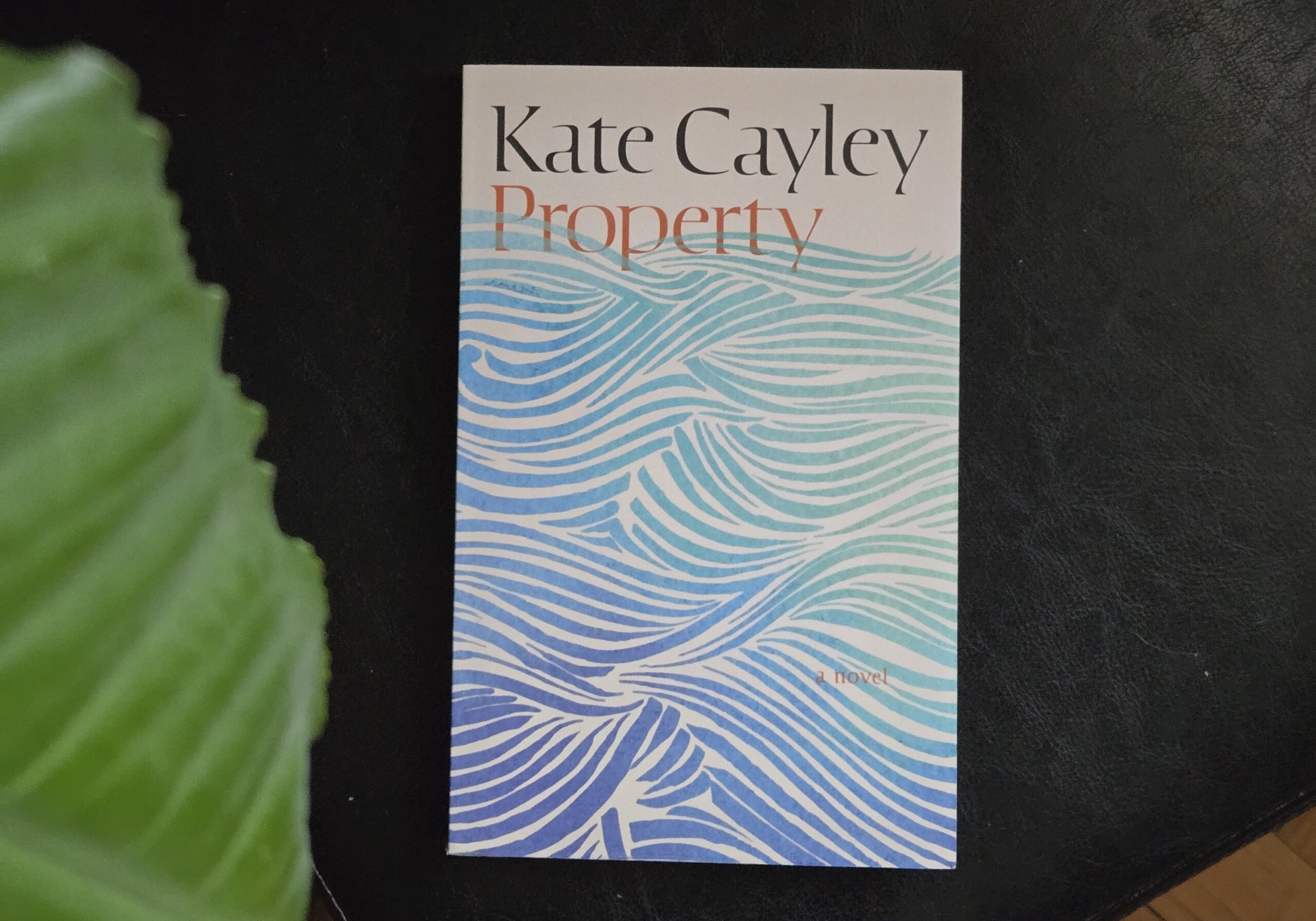 192: Property by Kate Cayley