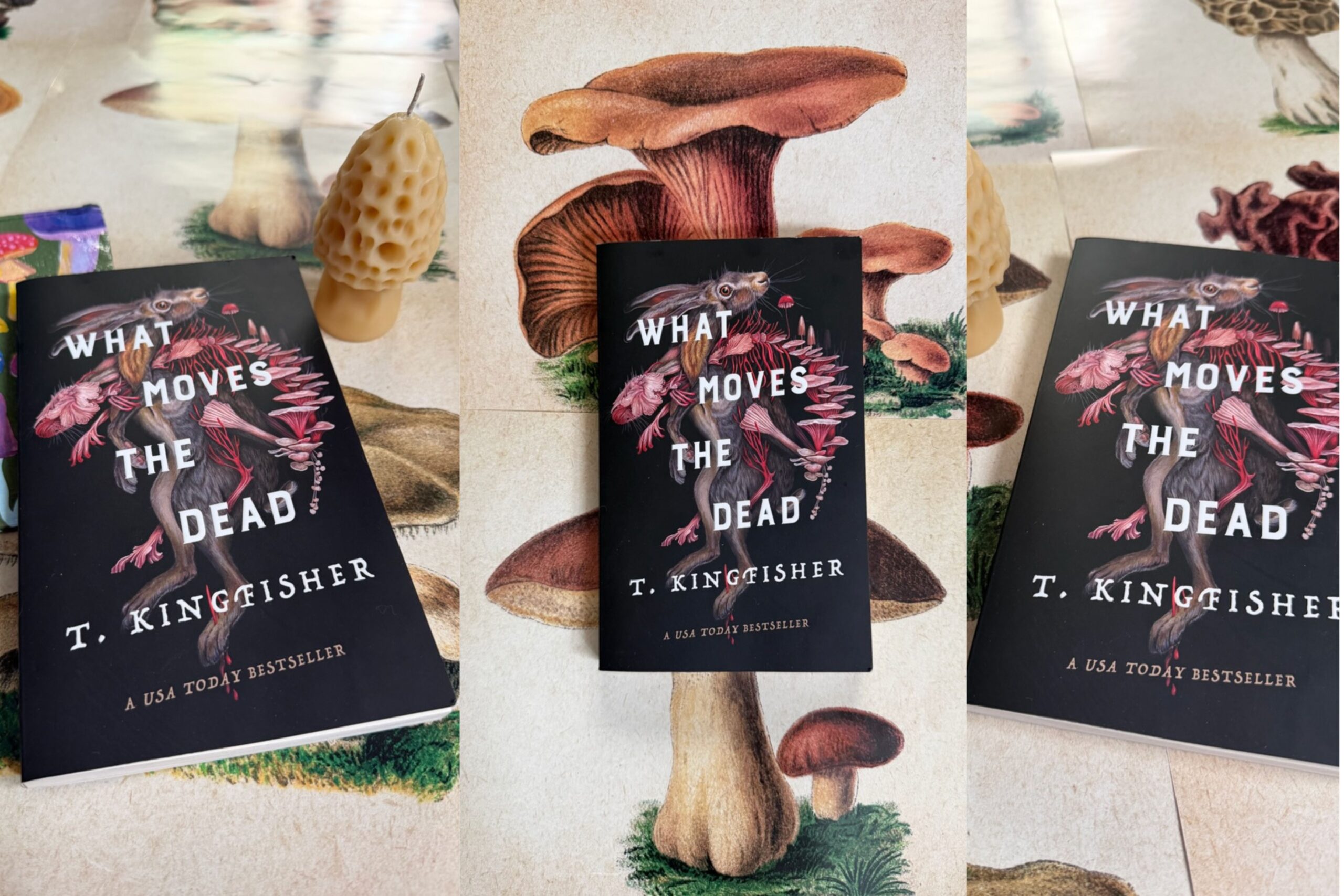 204: What Moves the Dead by T Kingfisher